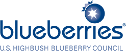 usblueberryのロゴ