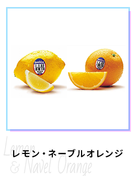 レモン・ネーブルオレンジ