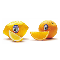 レモン・オレンジ